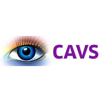 Accountancy Software CAVS